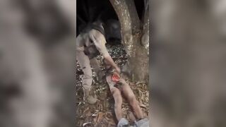 CJNG Cartel Sicarios Butcher a Rival in Sinaloa (Clean Video)