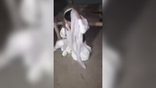The Pakistani Taliban Released a Disturbing Video of them Torturing a Woman In Bannu