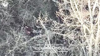 A Russian soldier is crawling without his legs