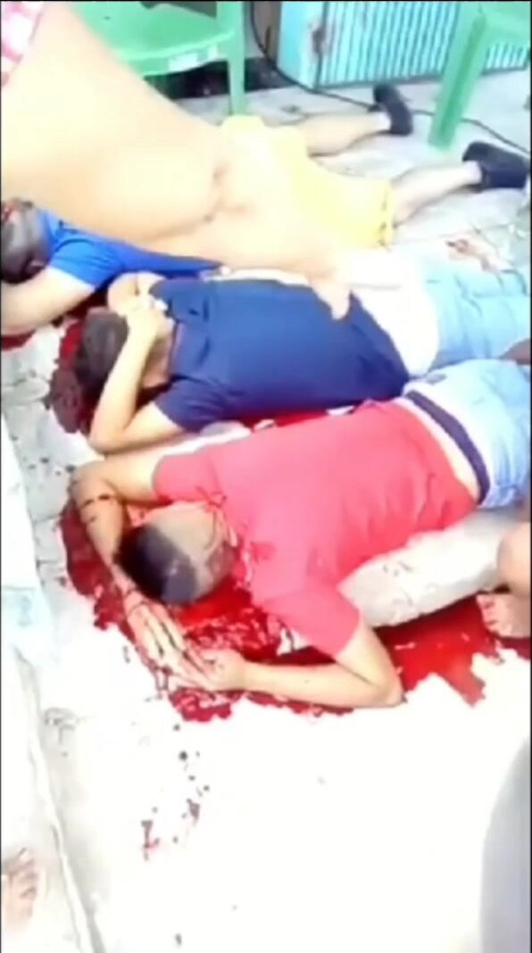 gore compilation