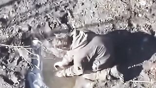 Even muddy water tastes good in war