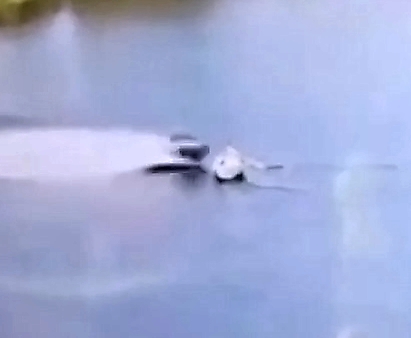 11-year-old boy on a jet ski caused death