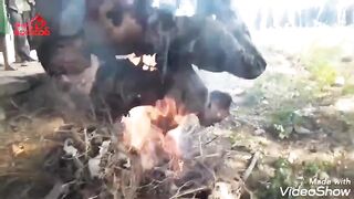 Classic Video Of Two Myanmar Militants Burned Alive By Rebels