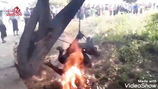 Classic Video Of Two Myanmar Militants Burned Alive By Rebels