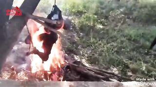 Classic Video Of Two Myanmar Militants Burned Alive By Rebels