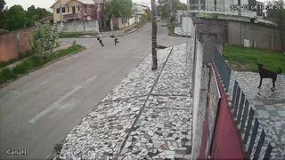 Money Changer Murdered And Robbed Of Bag Of Cash In Bolivia