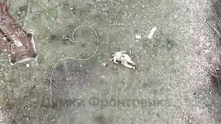 A Russian was decapitated by a small mortar shell