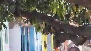 Sicko Kills Man With A Hammer And Drinks His Blood