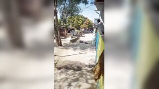 Sicko Hammers Man To  Death In Broad Daylight, Eats His Brain (Another Angle)