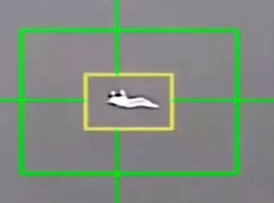 Iranian air defense system shoots down US F-15 jet