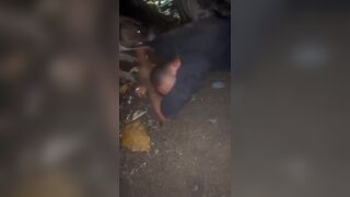 He Tried To Steal From A Workshop, But Met A Huge Dog Instead