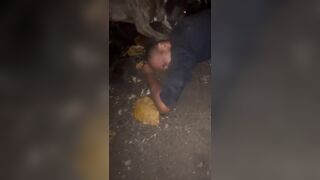 He Tried To Steal From A Workshop, But Met A Huge Dog Instead