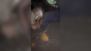 He Tried To Steal From A Workshop, But Met A Huge Dog Instead