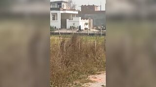 Drunk Woman Beats Husband To Death During Argument In India