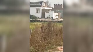Drunk Woman Beats Husband To Death During Argument In India