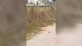 Drunk Woman Beats Husband To Death During Argument In India