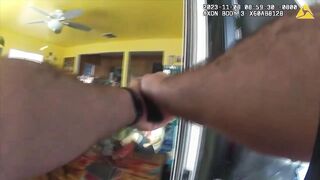 Gangster vs.  cop compilation