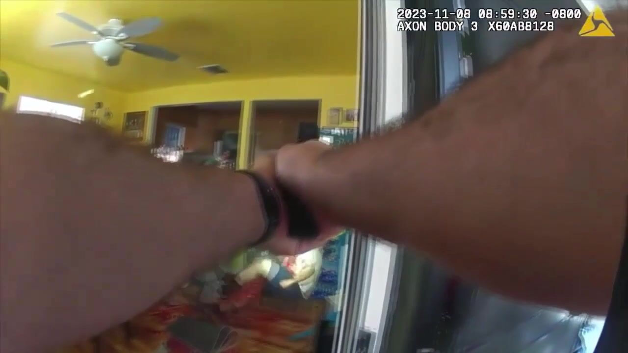 Gangster vs.  cop compilation