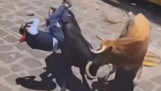 He Never Saw The Second Bull Coming