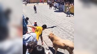 He Never Saw The Second Bull Coming