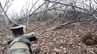 Wild Boar Safari