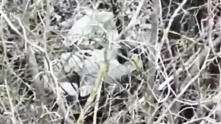 Another batch of Orcs liquidated in the Donetsk region