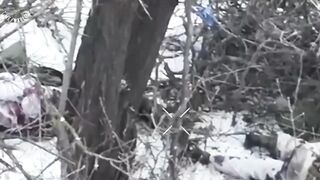 Another batch of Orcs liquidated in the Donetsk region