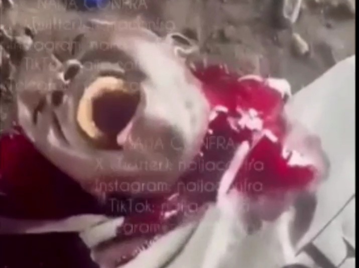 Rival slaughtered by the BLACK AXE GANG MEMBERS