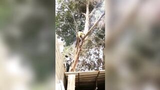 Final destination 'compilation)