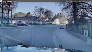 SLOPD Officer Shoots and Kills Man Pointing Replica Firearm at Police