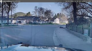 SLOPD Officer Shoots and Kills Man Pointing Replica Firearm at Police