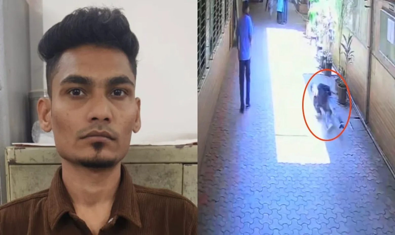 Library Peon, at Meet with College Principal, Jumps from 4th Floor; Tragedy on CCTV