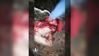 cartel (compilation)