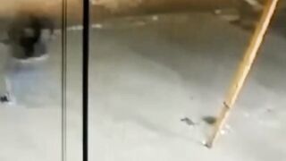 execution (compilation)