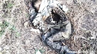 Rotting Russian bodies