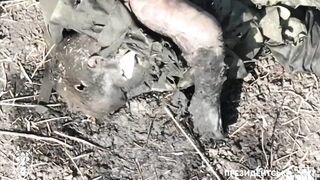 Rotting Russian bodies