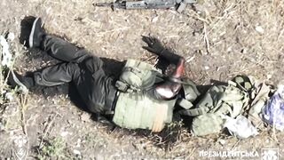 Rotting Russian bodies