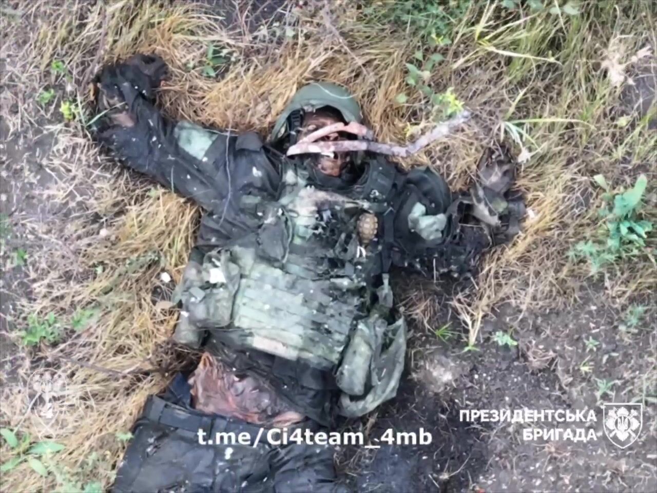 Rotting Russian bodies