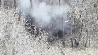 Two Russians were killed