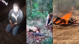 The cartel always takes its revenge (compilation)