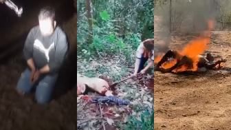 The cartel always takes its revenge (compilation)