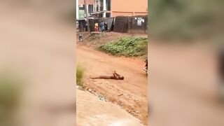 Wasted Woman Plays With Herself Fully Naked In Public