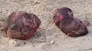 Atrocities Of Boko Haram In Borno State, Nigeria