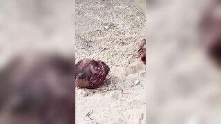 Atrocities Of Boko Haram In Borno State, Nigeria