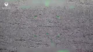 Selection of Shahed-136 drone attacks by AH-64 helicopters from the Emirates