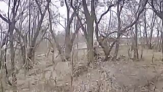 A pair of UA drones surrounded and hit Orc in the Zaporozhye region
