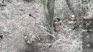 A pair of UA drones surrounded and hit Orc in the Zaporozhye region