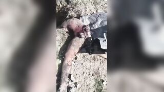 At Least 30 Soldiers Killed By Strike On Army Base In Iran