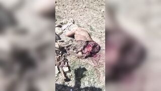 At Least 30 Soldiers Killed By Strike On Army Base In Iran