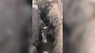 Kenyan Diver Jumps To His Death